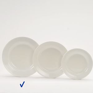 Luxe Villeroy & Boch dessert bord 21 cm