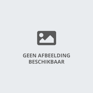 Theoretisch verlangen niveau Rodeostier opblaasbaar 5m huren - Springkussens Huren Rotterdam